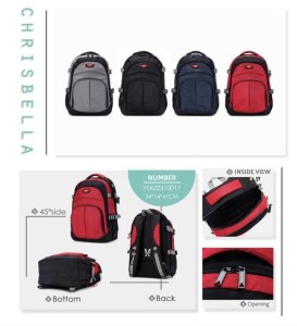 کوله وارداتی پاورکینگ کد YE0017