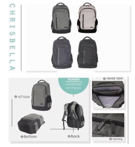 کوله وارداتی پاورکینگ کد IJ1050